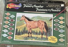 quarter paint horse for sale quarter paint horse for sale Bothell