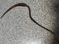 Vintage hand sickle for sale  Huntingburg
