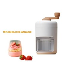 Tritaghiaccio professionale ma usato  Napoli