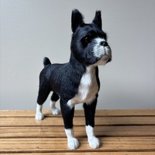 Boston terrier dog for sale  New Bethlehem
