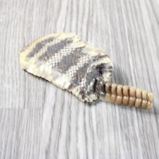 Rattlesnake rattle skin for sale  Parma