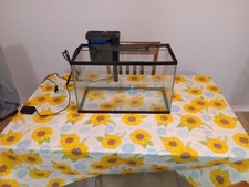 Ten gallon fish for sale  Cincinnati