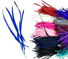 Long fascinator feathers for sale  HOUNSLOW