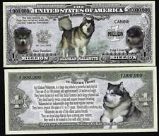 Alaskan malamute dog for sale  Mason City