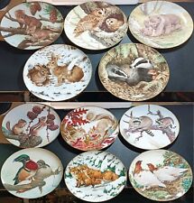 Choice plates forest for sale  HAYES
