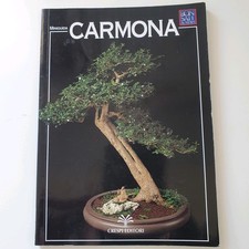 Libro bonsai carmona usato  Civitanova Marche