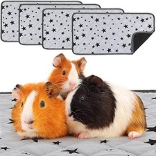 Pieces guinea pig for sale  UK