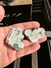 Orbicular ocean jasper for sale  Sonoma