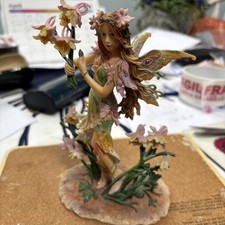 The columbine faerie usato  Spedire a Italy