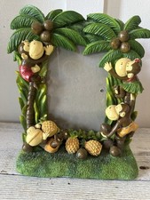 Cute tropical monkey for sale  Bloomington