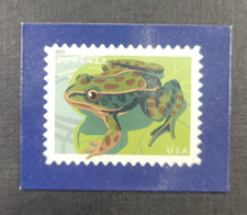 frog counters for sale  Toledo