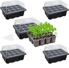 Bonviee pack seed for sale  New York