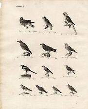 18th century engraving d'occasion  Expédié en Belgium