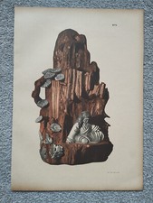 Bouquet holder kyoto for sale  STAFFORD