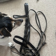 Cob bridle black for sale  HIGH WYCOMBE