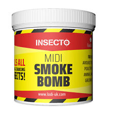 Wasp hornets nest for sale  LONDON