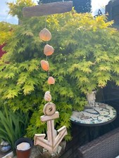 Sea side decretive for sale  SHREWSBURY