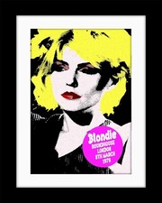 Blondie roundhouse andy for sale  PRESTON