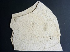 F1702 jura saccocoma gebraucht kaufen  Röttenbach b Erlangen