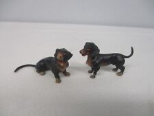 Vienna bronze dachshund for sale  Windham