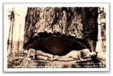 Washington logging rppc for sale  Oakland