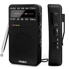 Prunus 166 radio usato  Italia