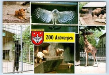 Zoo antwerpen antwerp d'occasion  Expédié en Belgium