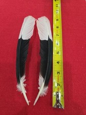Z34 white thighed for sale  Hill City