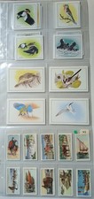 Cadbury trading cards for sale  YORK