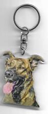Cursinu chien porte d'occasion  Concarneau