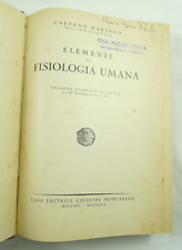 Elementi fisiologia umana usato  Torricella del Pizzo