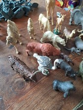 Britain zoo animals for sale  BIGGLESWADE