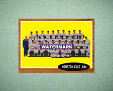 Houston colt 45s for sale  Houston