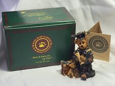 s boyd bears graduation for sale  Sheboygan