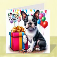 Boston terrier dog for sale  STOCKTON-ON-TEES