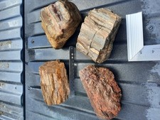 Petrified wood pounds for sale  East Carbon