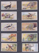 Cards prehistoric animals for sale  WEYMOUTH