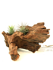 malaysian driftwood for sale  La Puente