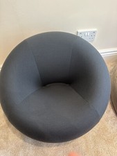 Italia small kids for sale Italia small kids for sale  SEVENOAKS