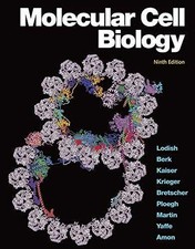 Molecular Cell Biology (842581) - Paperback, by Lodish Harvey; Berk - Good comprar usado  Enviando para Brazil