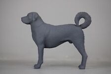 Breyer companion kangal usato  Spedire a Italy