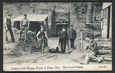 Gold mine lea for sale  LYDNEY