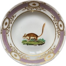 Piatto porcellana napoli usato  Firenze