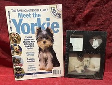 Akc meet yorkie for sale  Cape Charles