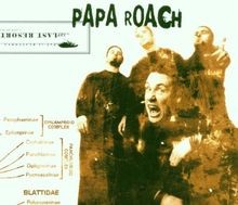 Last resort papa gebraucht kaufen  Berlin
