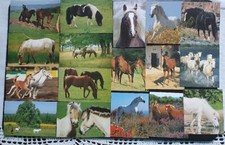 Kleine pferdebilder pferde gebraucht kaufen  Sondershausen