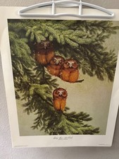 Vtg guy coheleach for sale  Knoxville