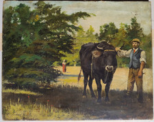 Hirschi scuola svizzer usato Hirschi scuola svizzer usato  Vimodrone