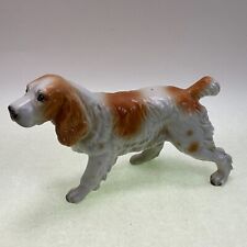 English springer cocker for sale  Holley