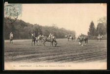 Cpa chantilly pelouse d'occasion  Expédié en France